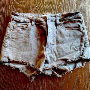 Aritzia Talula High Waisted Blue / Grey Shorts 27